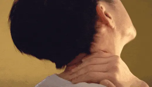 动图